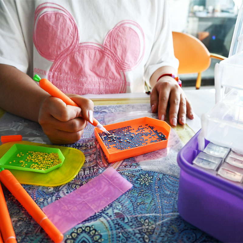 Diamond Embroidery Tools Carro - Embroidery Painting 评论和价格